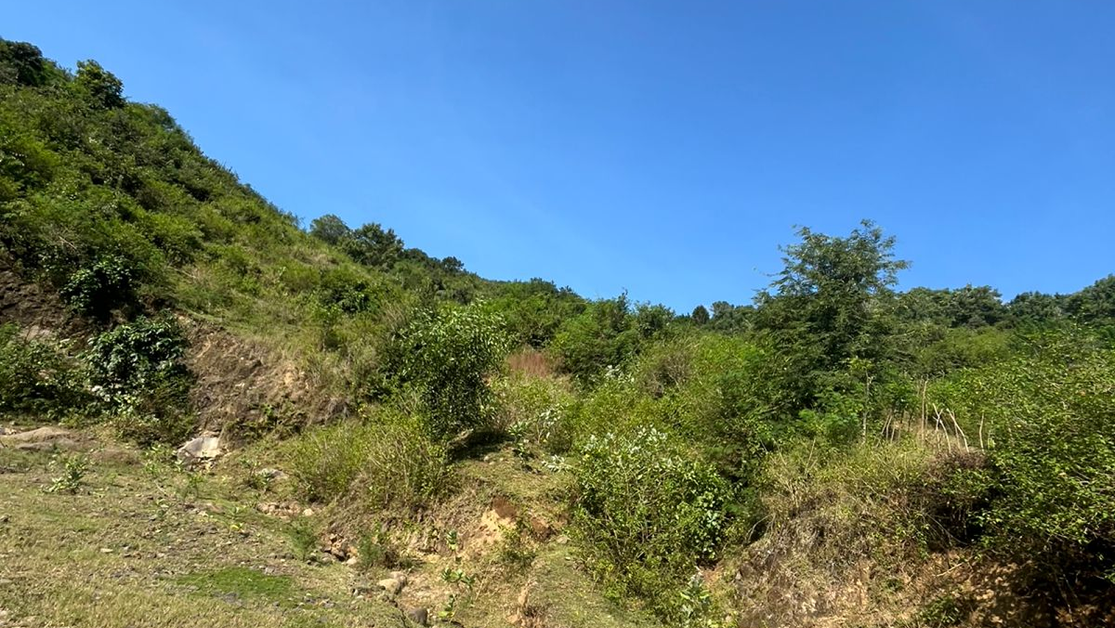 Araguling-2