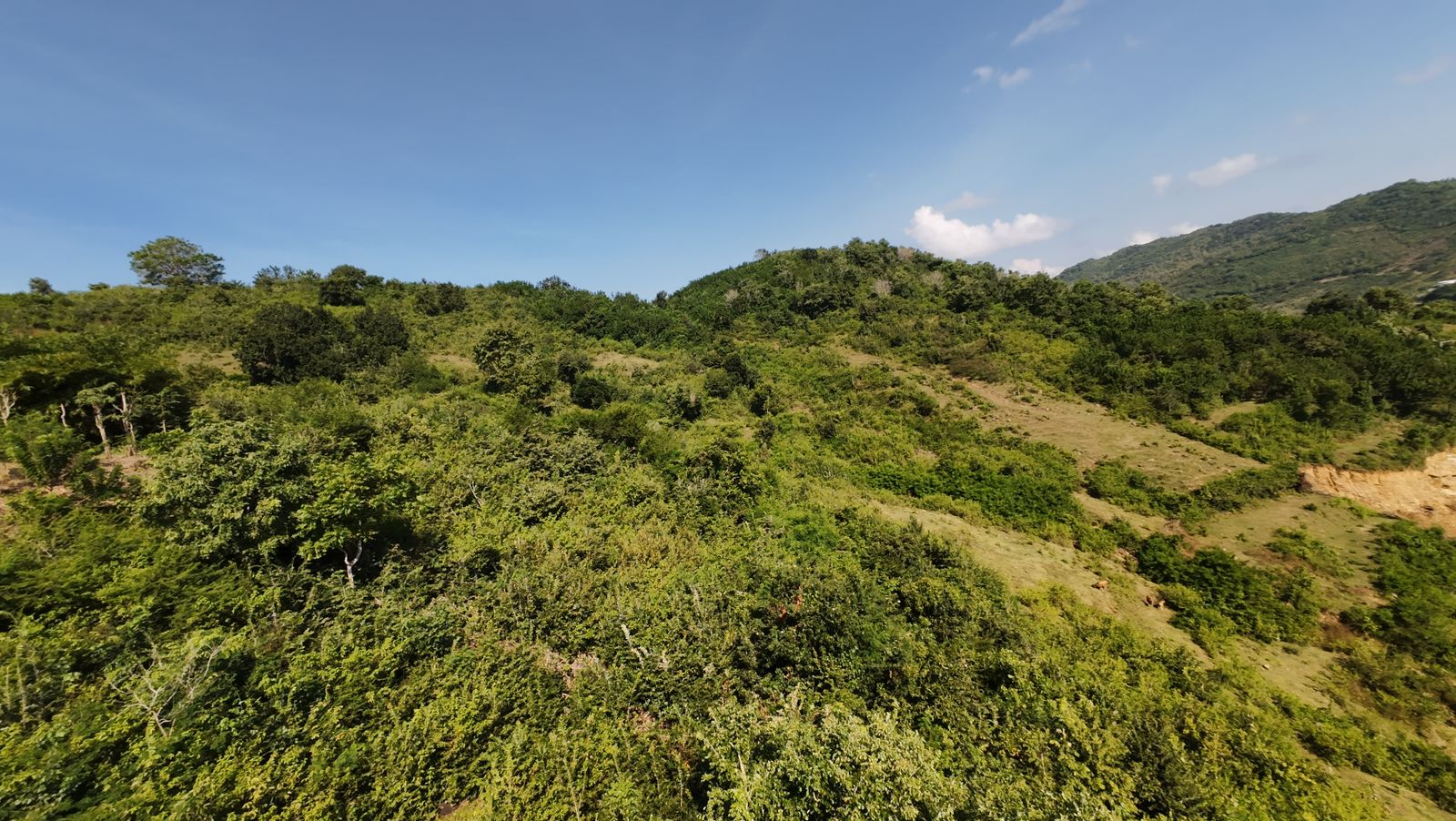 Araguling-5