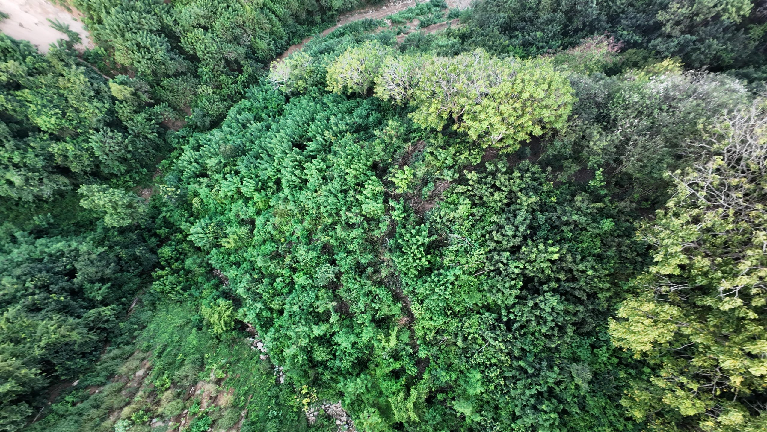 Mandalika-1